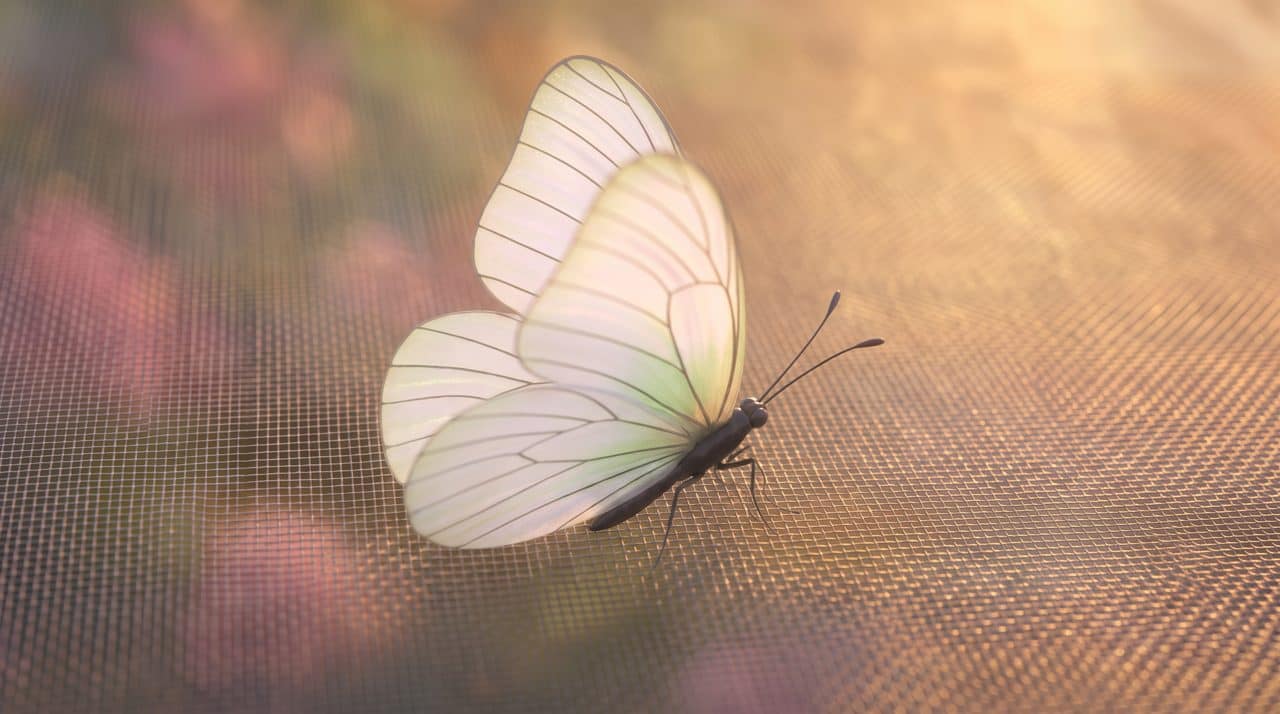 Der Schmetterling aus dem AW-Logo landet auf dem Gewebe